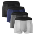 2 PAQUETS DE BOXERS en FIBRES de BAMBOU